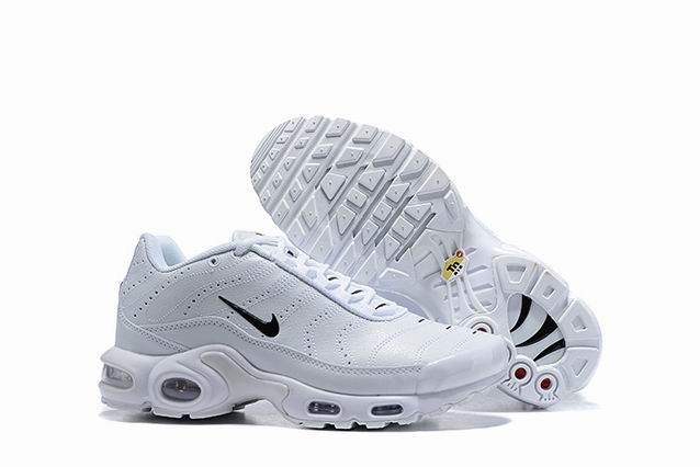 2019 nike tn