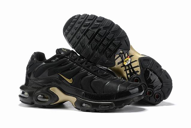 airmax tn 2019