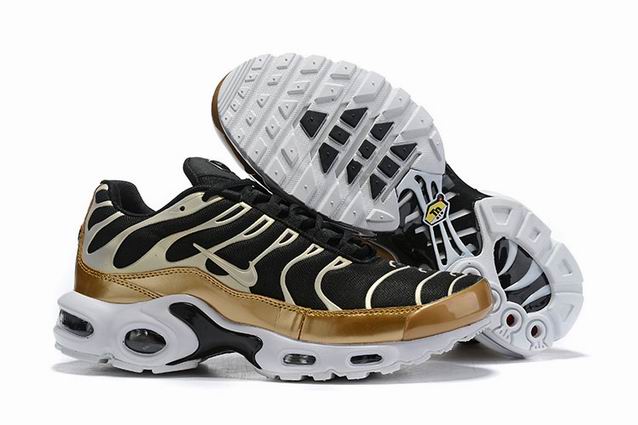 airmax tn 2019